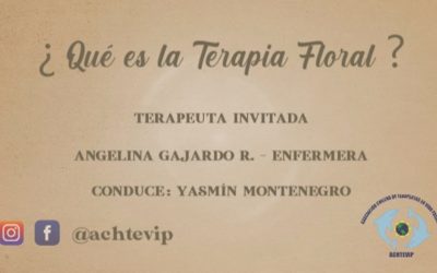 ¿ Qué es la Terapia Floral ?